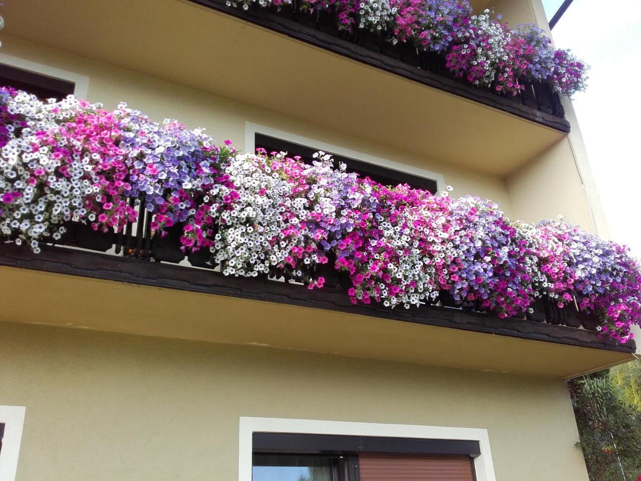 Appartement - Ferienwohnungen - Gaestehaus Gabriele Drobollach am Faakersee Exteriér fotografie