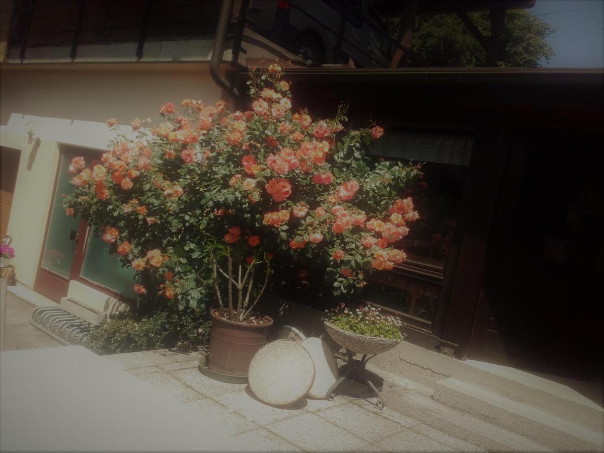 Appartement - Ferienwohnungen - Gaestehaus Gabriele Drobollach am Faakersee Exteriér fotografie